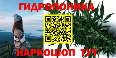 дмт Жуковский