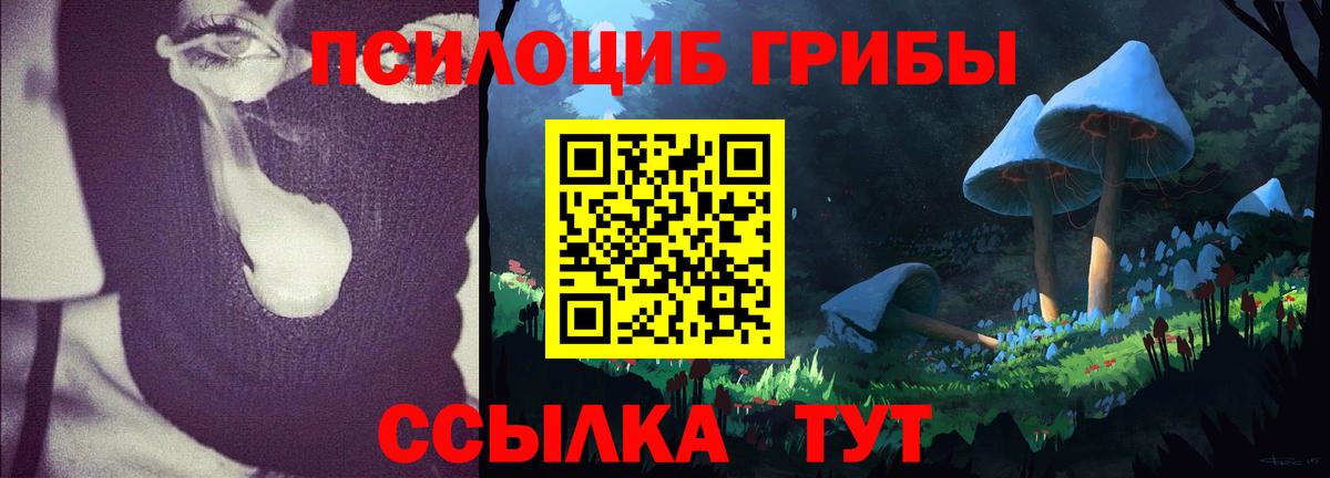 Майкоп  Галлюциногенные грибы Psilocybine cubensis  купить   Вход с VPN 