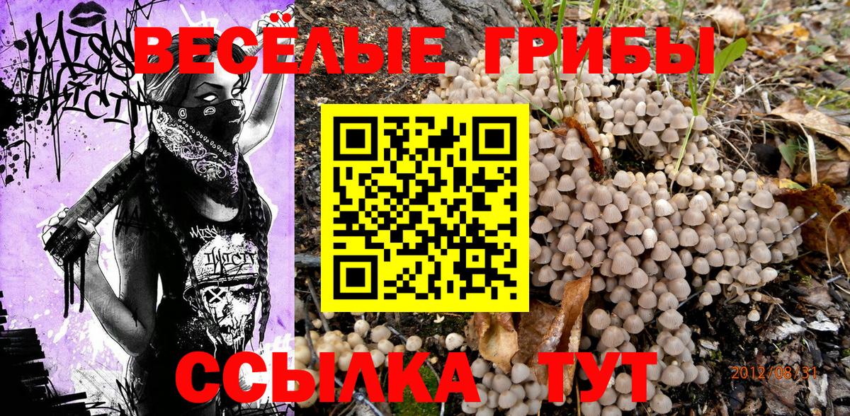 Галлюциногенные грибы GOLDEN TEACHER Майкоп